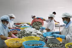 Consultations to promote Vietnam’s export-import activities