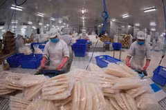 Seafood industry needs to adapt to market trends