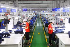 Numbers of firms, employees in FDI, non-state sectors soar: census