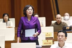 Legal framework for securities, corporate bond investment, business strengthened: SBV Governor