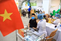 Vietnam professional in managing COVID-19 response: Israeli ambassador