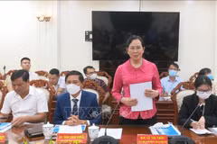 Vietnamese, Japanese localities look to boost investment cooperation
