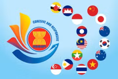 Tasks of ministries in RCEP implementation clarified