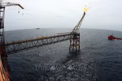 Comprehensive revisions needed for Petroleum Law