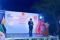 Mozambique looks to stronger cooperation with Vietnam