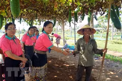 Laos - Vietnam relations increasingly intensified: Vientiane Times