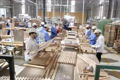 Vietnam's wood industry seeks to ensure self-sufficiency in domestic materials
