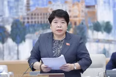 Draft revised law on domestic violence control submitted to parliament