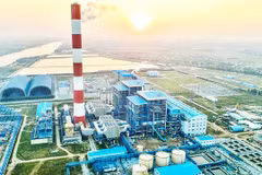 Greater efforts needed to tackle inefficient projects