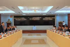 MoIT, EU Delegation works with Gia Lai on renewable energy development