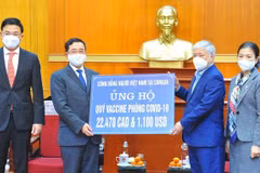 Overseas Vietnamese work fruitful: Deputy FM