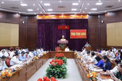 Vinh Long urged to be more drastic, decisive to tap potential