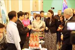 Agriculture – a basis of Vietnam - New Zealand relations: PM Jacinda Ardern