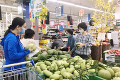 HCM City January CPI grows slightly