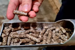 Wood sector to earn more on woodchips, pellets 