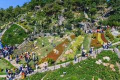 Domestic tourists hit 5.5 million during Tet holiday