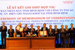 Binh Dinh province seeks more investment from Germany