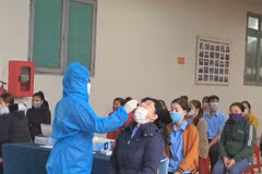 COVID-19: Record number of new cases reported on February 10