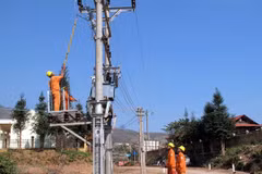 Tien Giang to spend over 200 billion VND upgrading power system
