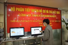 Newly established firms up in first five months