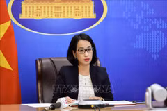 Vietnam augmenting efforts against human trafficking: deputy spokeswoman