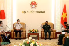 Vietnam fosters defence cooperation with Egypt, Japan