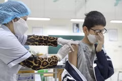 COVID-19: New cases drop strongly in many localities on May 21