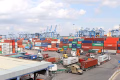 Seaport enterprises set for promising year in 2022
