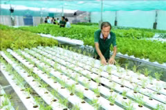 Links between farmers and enterprises vital to promoting agricultural product quality, exports
