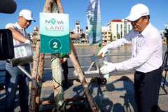 Binh Thuan aims to plant 10 million trees by 2025