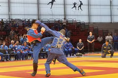 Vietnam wins three gold medals at 6th world vovinam championship
