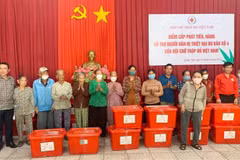 Relief handed to storm victims in Quang Ngai
