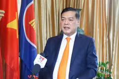 Singaporean President’s visit to further intensify strategic partnership with Vietnam: ambassador
