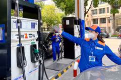 Petrol prices rise sharply