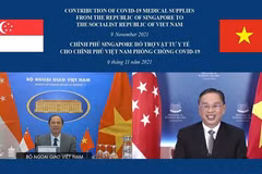 Vietnamese President’s visit to Singapore highly anticipated: expert