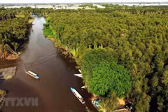 📝 OP-ED: Vietnam steadfast in “green path” for sustainable future