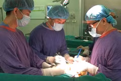 About 6,500 organ transplants conducted nationwide in 30 years
