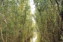 Tan Lap floating village – attractive destination in Long An