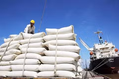Philippines remains biggest importer of Vietnamese rice 