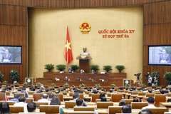 Revision of Petroleum Law aims to create smoother legal corridor: Minister