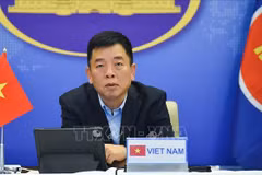 Vietnam spreads peace, cooperation message at SAIFMM: Ambassador 
