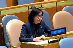 Vietnam pledges to effectively manage small arms, light weapons