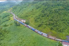 Railway through Hai Van Pass needs 53.5 million USD for upgrade