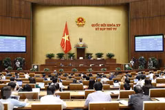 National Assembly passes two draft revised laws