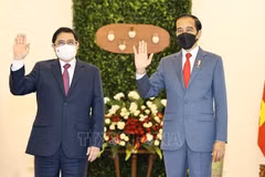 Indonesia-Vietnam strategic partnership built on solid foundation: Antara