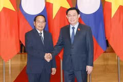 NA Chairman receives Lao Vice President