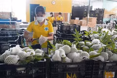 Business association helps connect Vietnamese, Malaysian firms