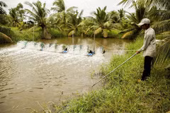 Ben Tre province works towards sustainable agriculture