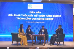 High time for Vietnam to end wasteful use of energy: Experts