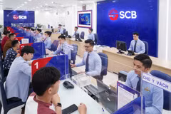 VinaCapital remains positive about banking sector’s long-term outlook 